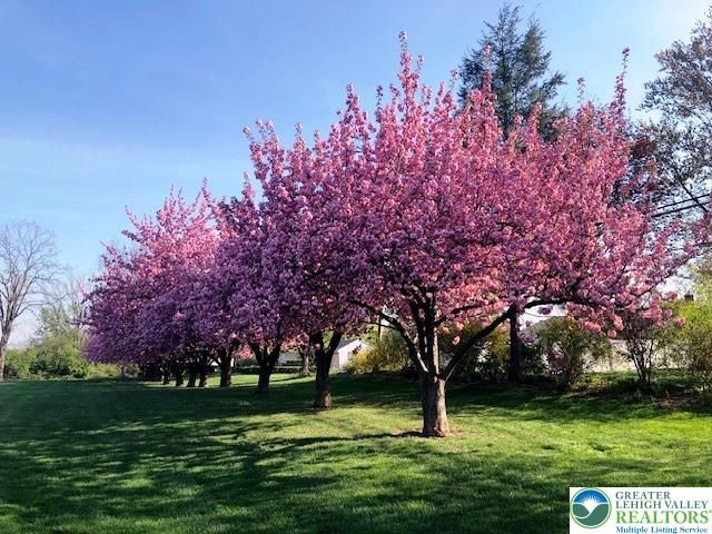 1925 Troxell Street, Hanover Twp, PA 18109