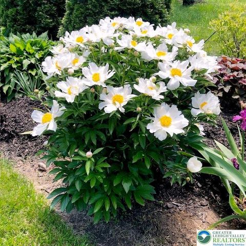 1925 Troxell Street, Hanover Twp, PA 18109