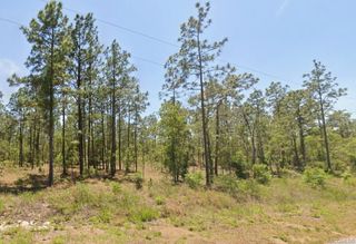 0 NW WATER OAK 5, Dunnellon, FL 34431
