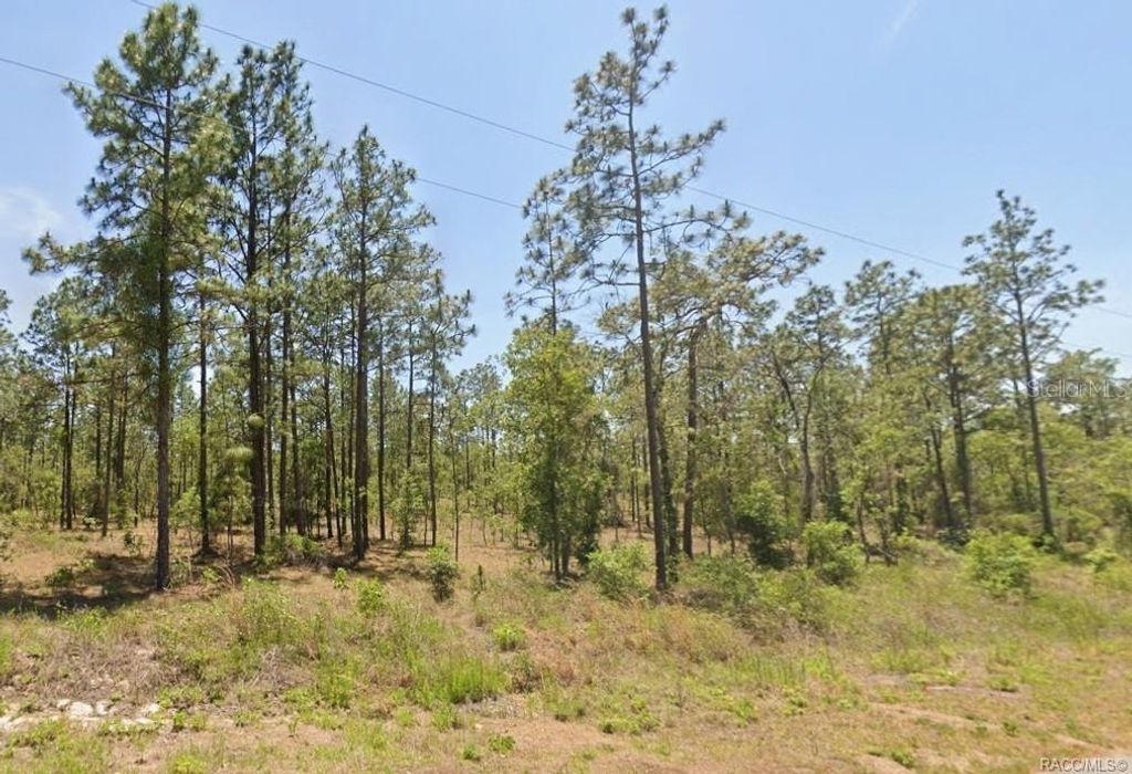 0 NW WATER OAK 5, Dunnellon, FL 34431