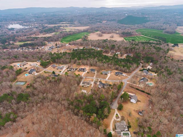 1018 SCENIC DRIVE, Alexandria, AL 36250