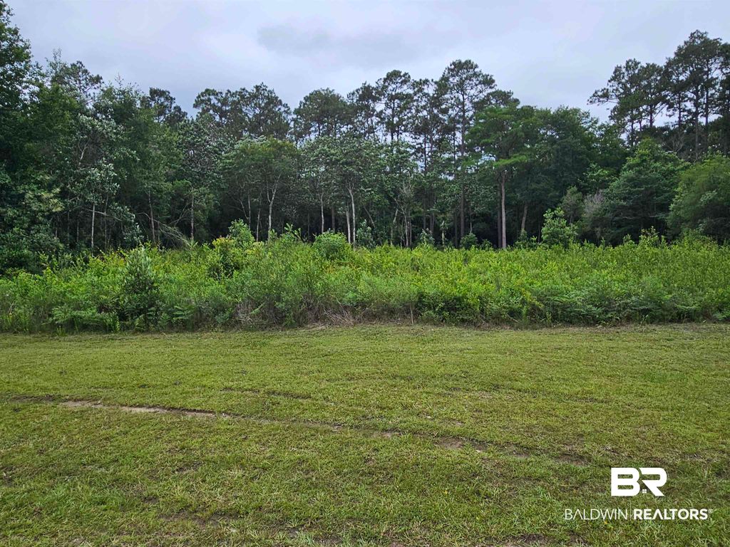 0 Deerfield Drive, Irvington, AL 36582