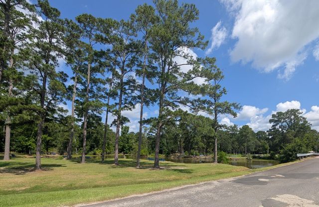 1274 Cardinal Lane, Trinity, TX 75862