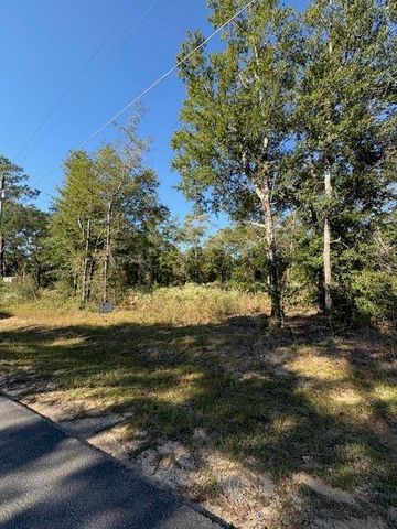 Lot 48 Howlin Road, Defuniak Springs, FL 32433