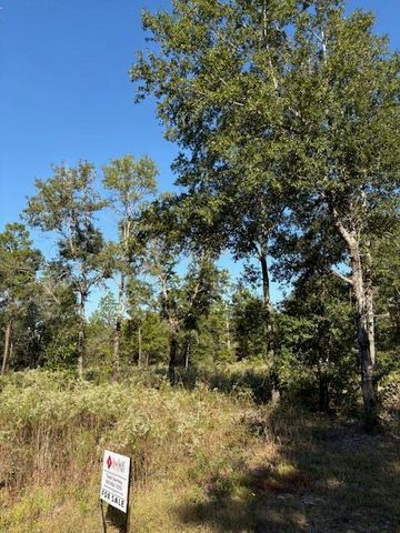Lot 48 Howlin Road, Defuniak Springs, FL 32433