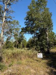 Lot 48 Howlin Road, Defuniak Springs, FL 32433