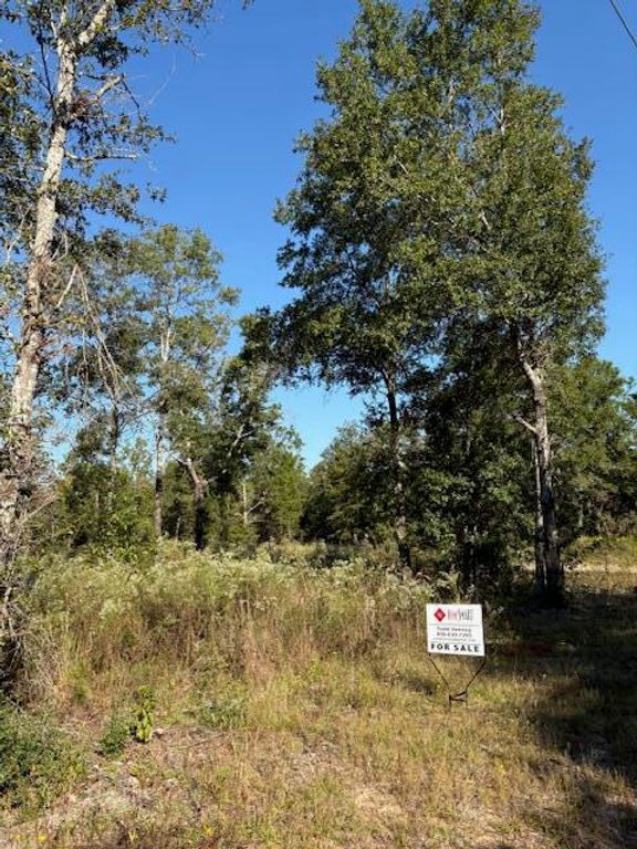 Lot 48 Howlin Road, Defuniak Springs, FL 32433