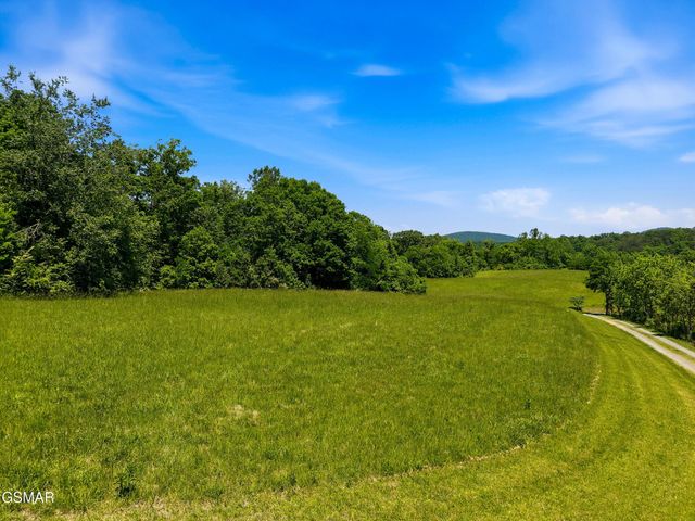 1309 Licklog Hollow Road, Sevierville, TN 37876