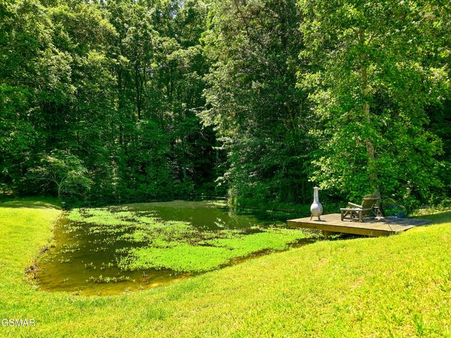 1309 Licklog Hollow Road, Sevierville, TN 37876
