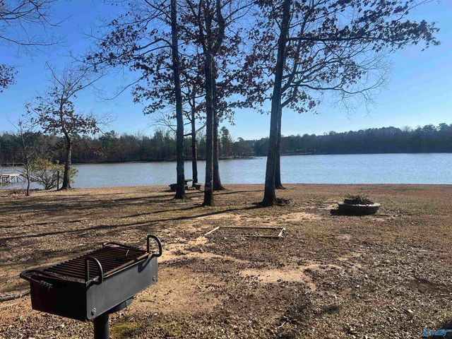 410 County Road 509, Cedar Bluff, AL 35959