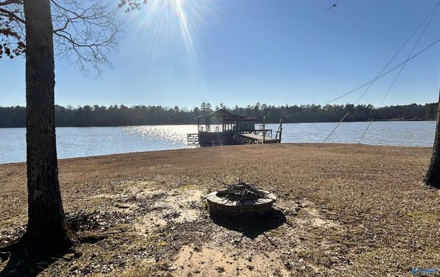 410 County Road 509, Cedar Bluff, AL 35959