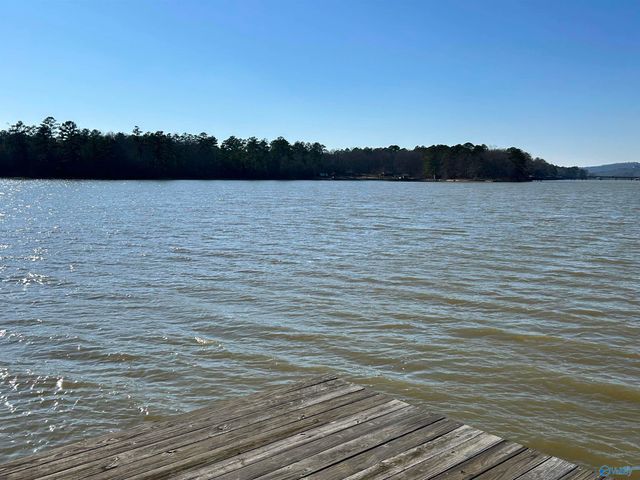 410 County Road 509, Cedar Bluff, AL 35959