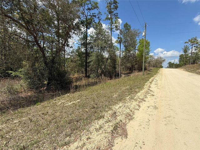 TBD SE 150TH AVENUE, Morriston, FL 32668