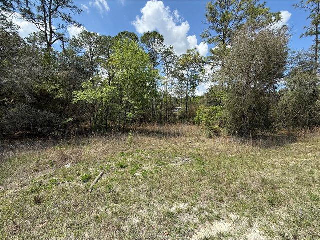 TBD SE 150TH AVENUE, Morriston, FL 32668