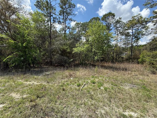 TBD SE 150TH AVENUE, Morriston, FL 32668