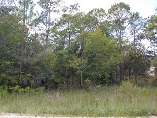 TBD SE 150TH AVENUE, Morriston, FL 32668