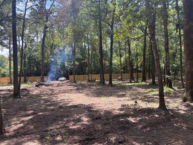 23456 Sweet Gum Drive, Hockley, TX 77447