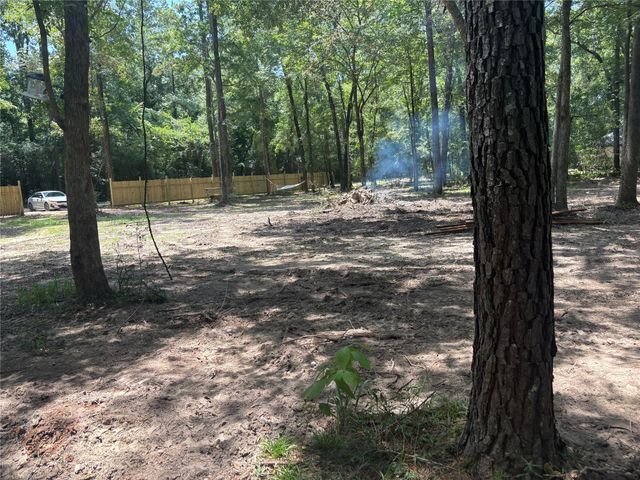 23456 Sweet Gum Drive, Hockley, TX 77447