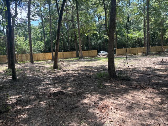 23456 Sweet Gum Drive, Hockley, TX 77447