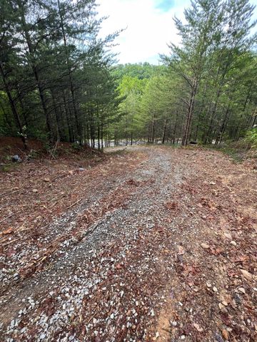 Lot 180E Jones Creek Lane, Sevierville, TN 37876