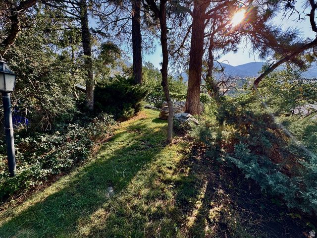 535 E POWELL AVE, Centerville, UT 84014