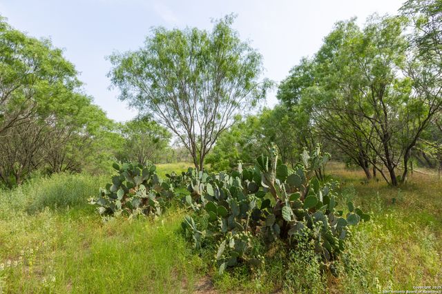 TRACT 2 Shepherd Road, Atascosa, TX 78002