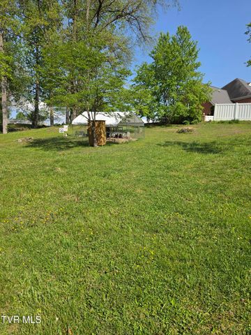 617 Vance Drive, Bristol, TN 37620