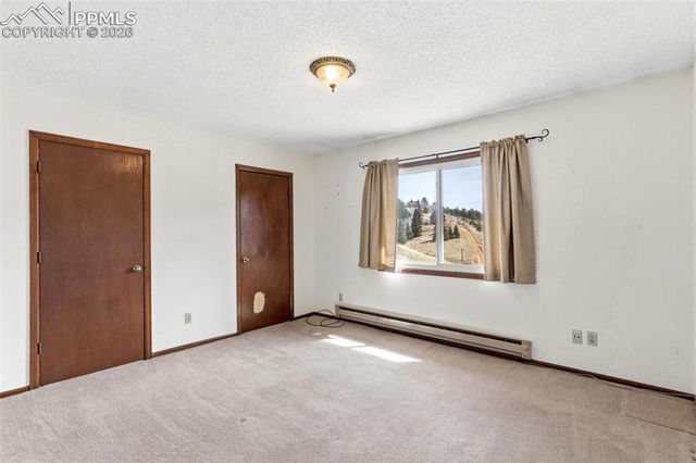 178 Cottonwood Lake Drive, Divide, CO 80814