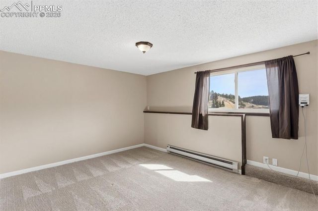 178 Cottonwood Lake Drive, Divide, CO 80814