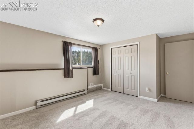 178 Cottonwood Lake Drive, Divide, CO 80814