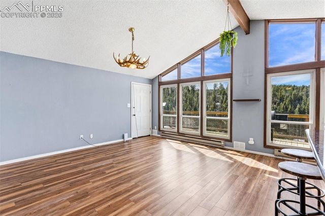 178 Cottonwood Lake Drive, Divide, CO 80814