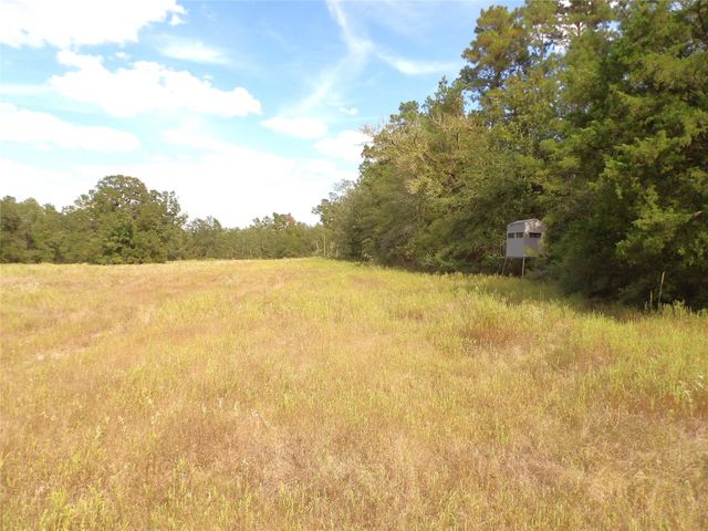 7749 Cr 4200, Pennington, TX 75856