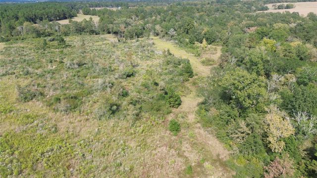 7749 Cr 4200, Pennington, TX 75856