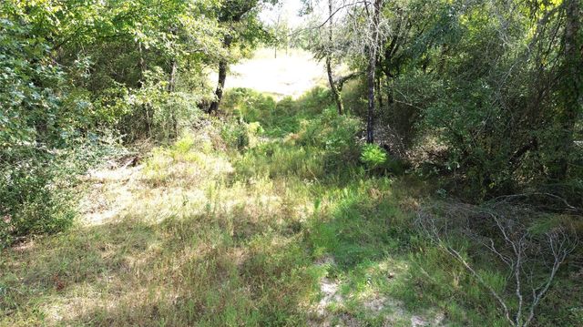 7749 Cr 4200, Pennington, TX 75856