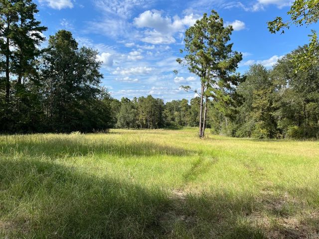 7749 Cr 4200, Pennington, TX 75856