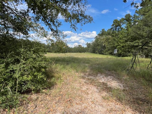 7749 Cr 4200, Pennington, TX 75856