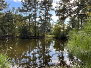 7749 Cr 4200, Pennington, TX 75856