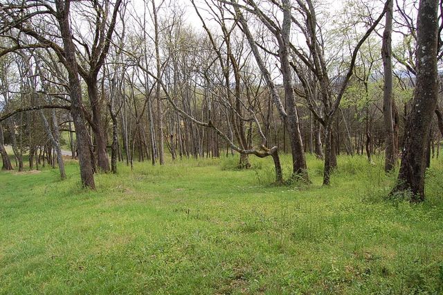 2 Riverbend Lane, Dunlap, TN 37327