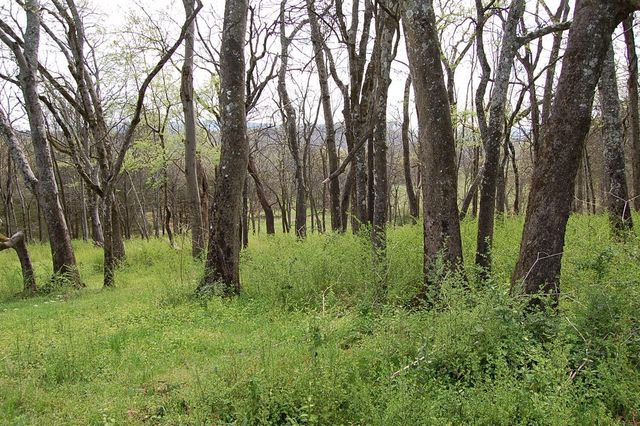 2 Riverbend Lane, Dunlap, TN 37327