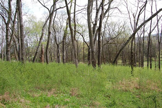 2 Riverbend Lane, Dunlap, TN 37327