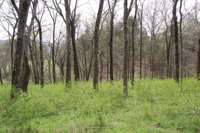 2 Riverbend Lane, Dunlap, TN 37327