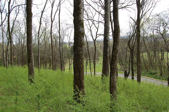 2 Riverbend Lane, Dunlap, TN 37327