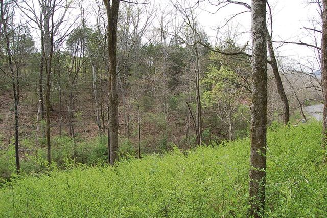 2 Riverbend Lane, Dunlap, TN 37327