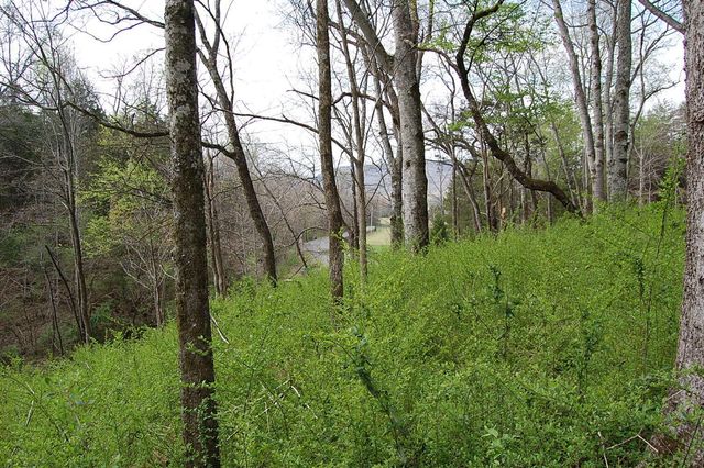 2 Riverbend Lane, Dunlap, TN 37327