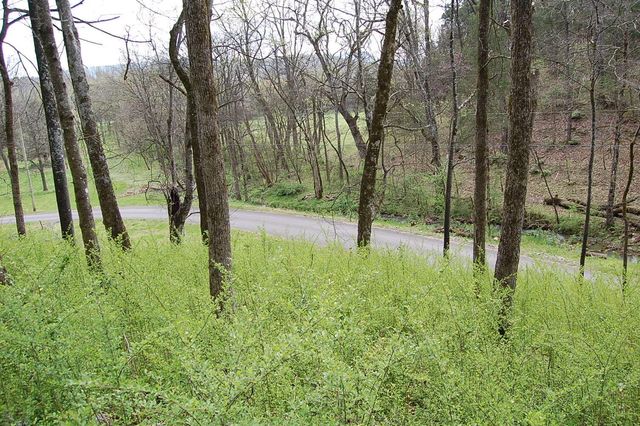 2 Riverbend Lane, Dunlap, TN 37327