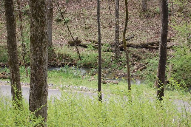 2 Riverbend Lane, Dunlap, TN 37327