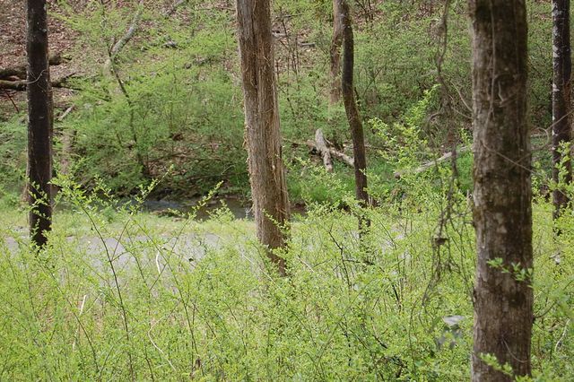 2 Riverbend Lane, Dunlap, TN 37327
