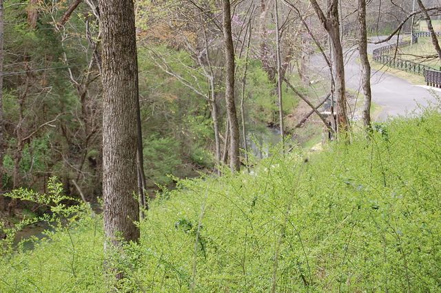 2 Riverbend Lane, Dunlap, TN 37327