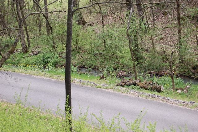 2 Riverbend Lane, Dunlap, TN 37327