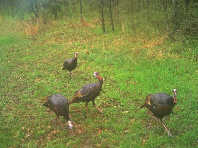 6745 E CC Highway, Stockton, MO 65785